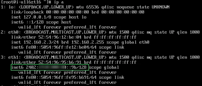 inbind ipv6 6