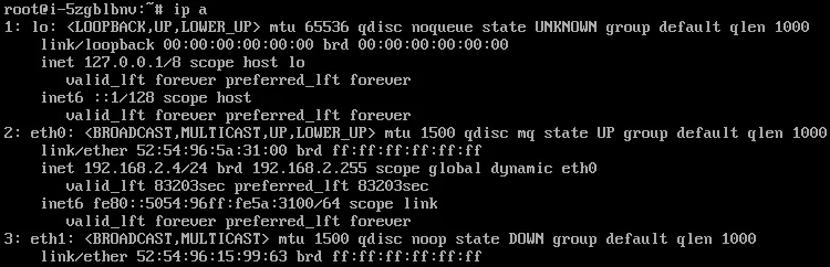 inbind ipv6 9